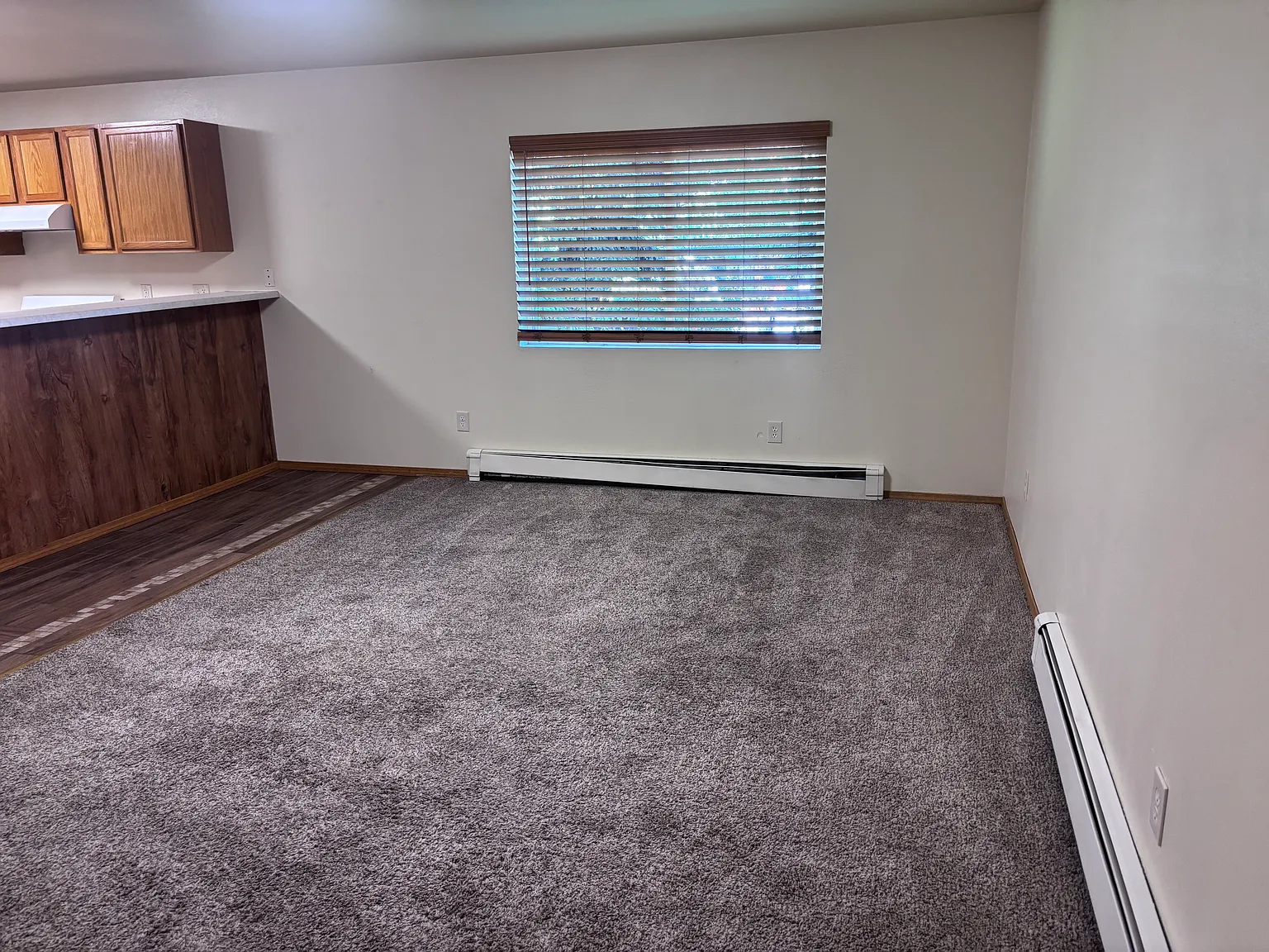 1 bed, 800 sqft, $1,200 — Photo 3