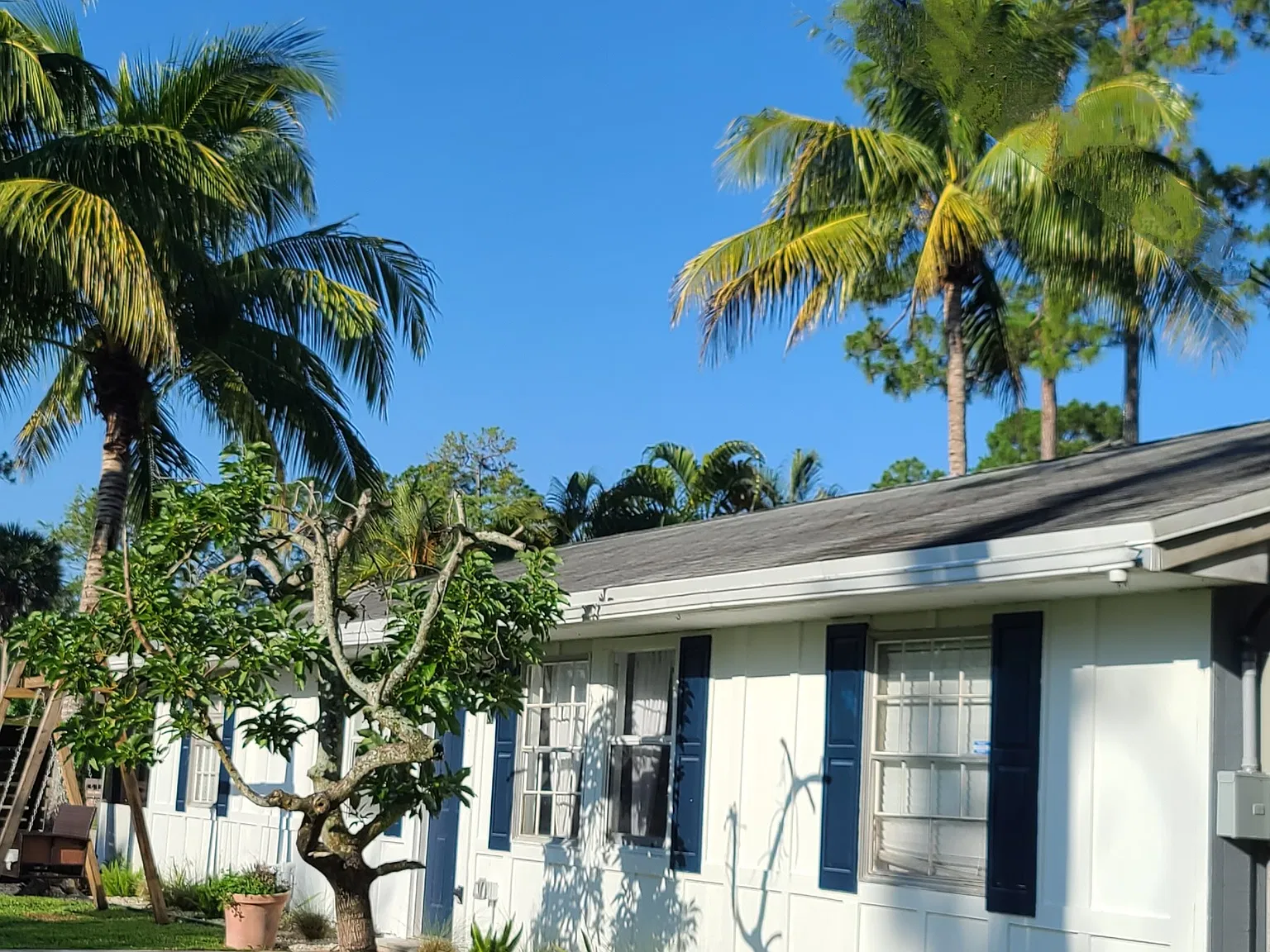 2 bed, 1500 sqft, $3,700 — Photo 3