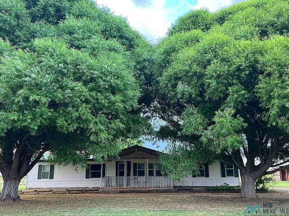 252 Fremont Dr, Fort Sumner, NM 88119