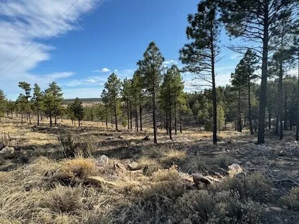 806 Eagle View Dr, Happy Jack, AZ 86024