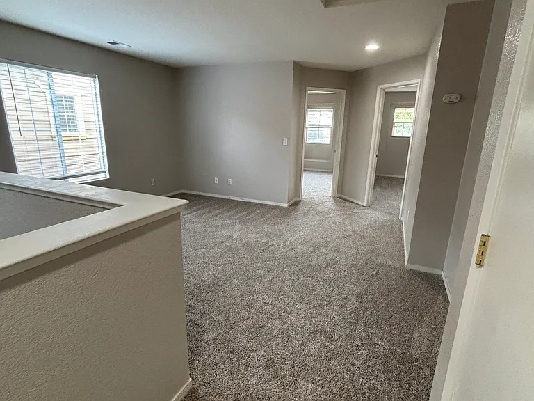 3196 Puffin Cir — Photo 5