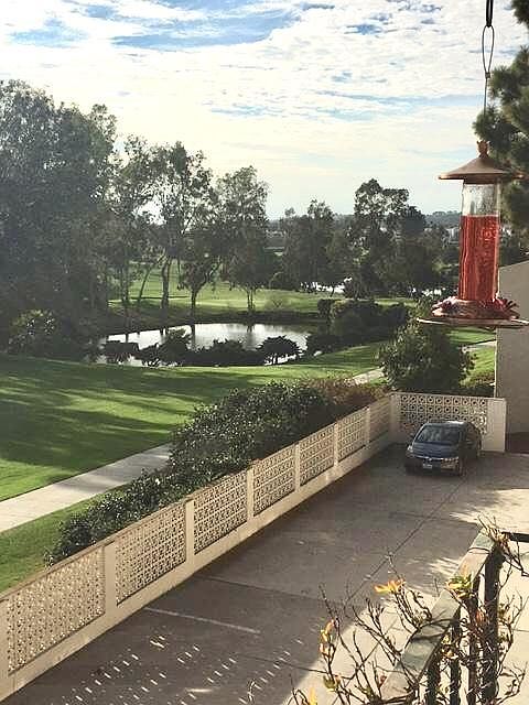 View from condo into golf course