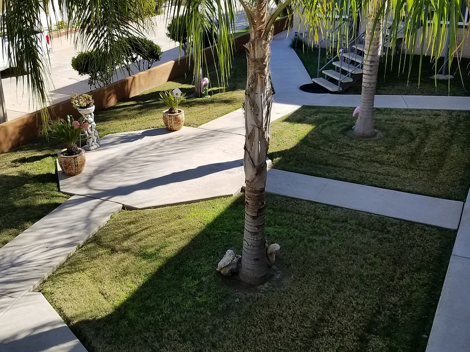 Atrium between the 2 bldgs. of the complex.