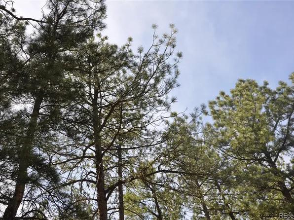 Wood Sorrel Rd, Larkspur, CO 80118