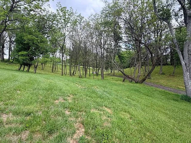 1361 Old Manchester Rd — Photo 63