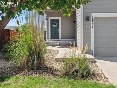 1691 Valley Oak Ct, Castle Rock, CO, 80104