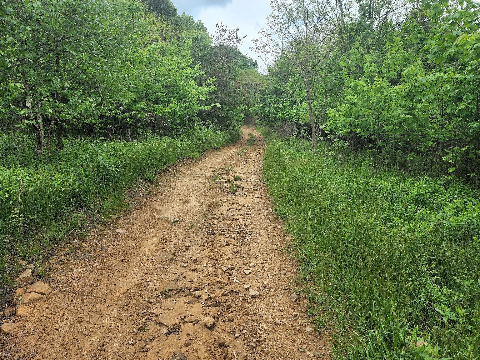 0 W Sunbury Rd LOT WP001, West Sunbury, PA 16061 Zillow