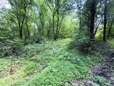 3697 Sane Rd, Parrottsville, TN, 37843