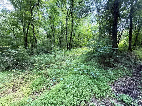 3697 Sane Rd, Parrottsville, TN 37843