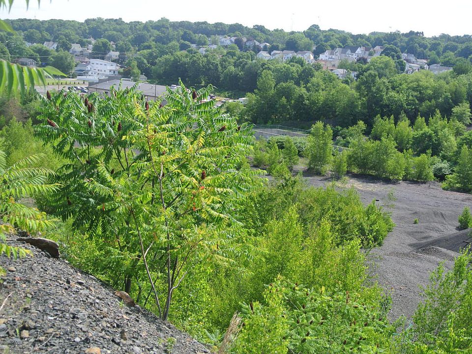 2nd image of Lehigh St