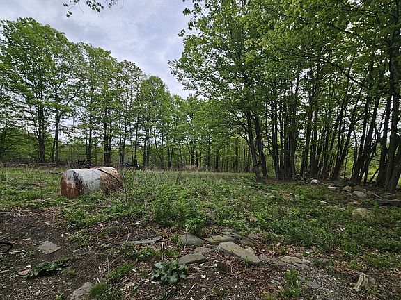 4th image of 1 Crane Rd
