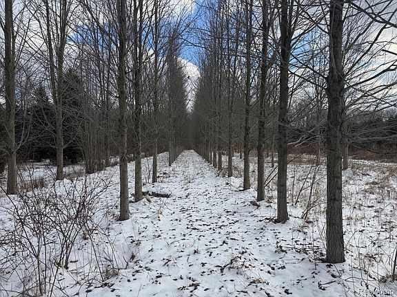 5th image of 0 Remer Rd