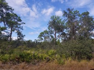 3047 Willow Ave, Lake Placid, FL 33852