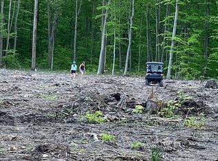 8675 Springborn Rd, Casco Township, MI 48064