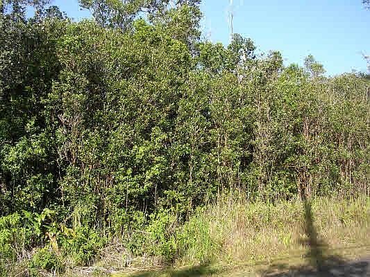 5th image of Lehua St Lot 7128