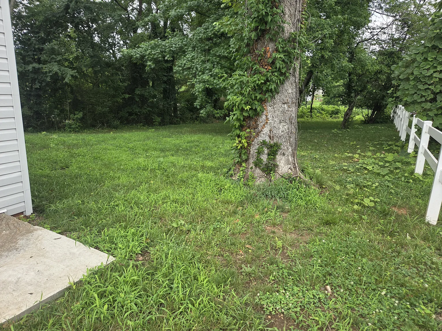 605-B — Photo 2