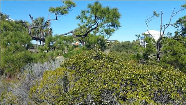 1st image of 115 Gulf Hibiscus Dr