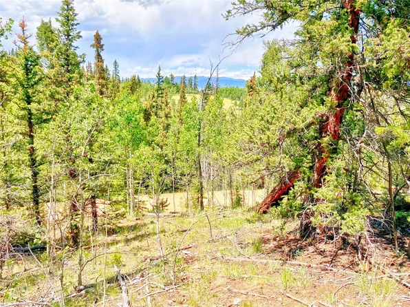 314 Tepee Trl, Como, CO 80456