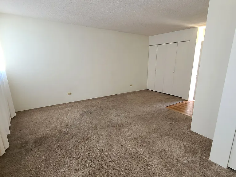 1040 Kinau St #405 — Photo 5