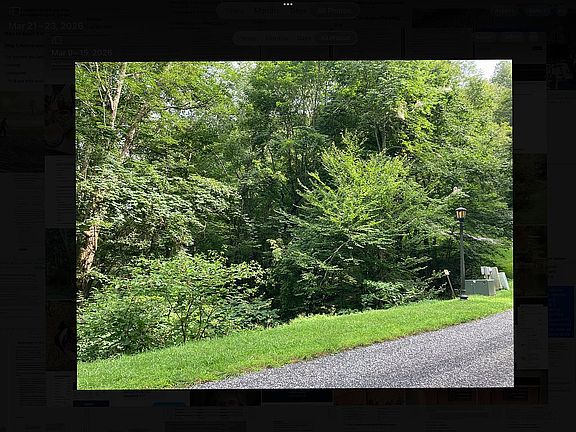 5th image of 80 Goldenleaf Rd #80