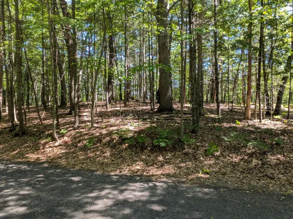 Ottawa Ln Lot 50, Pentwater, MI 49449