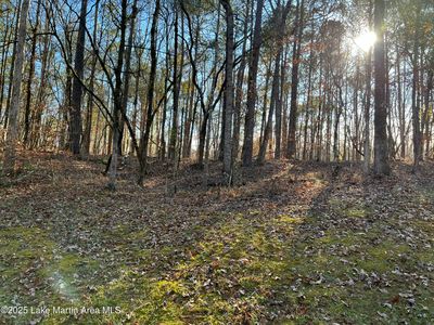 Lots 3 50 51 Fern Ridge Ln, Dadeville, AL, 36853