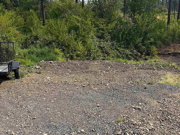 4th image of 310 Cougar Rd