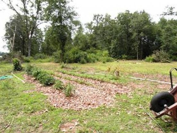 Garden area