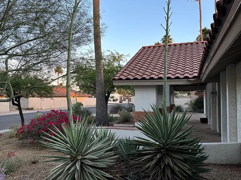 6722 S Martin Ln — Photo 3