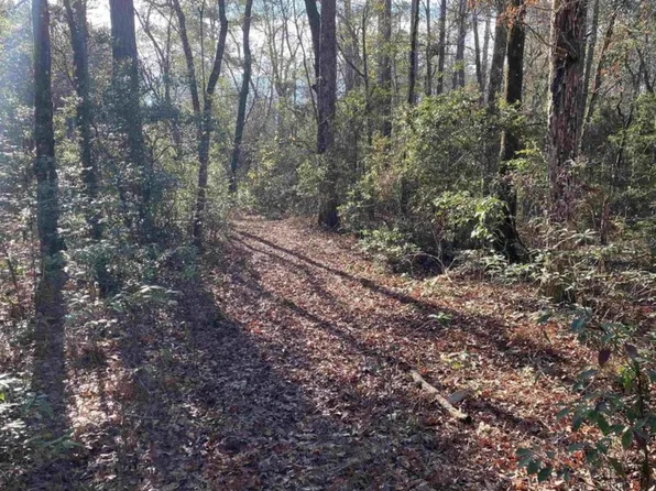 N Ashville Highlands #D, Greenville, FL 32331