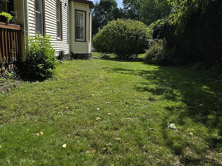 542 Doremus Ave #1 — Photo 19
