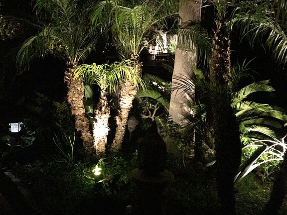 Tropical paradise at night