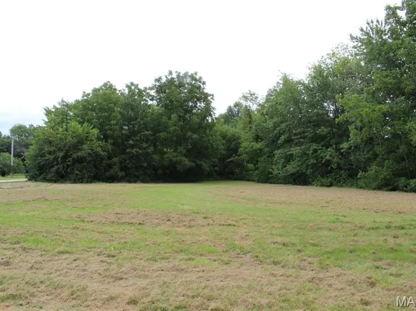 E E Pine St, Bellflower, MO 63333