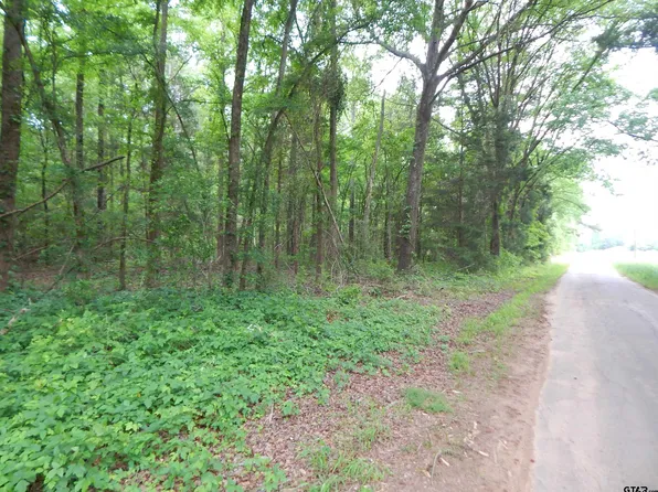 Woodchuck Rd, Pittsburg, TX 75686
