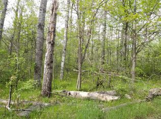 Gilford Ranch Rd, Rose City, MI 48654