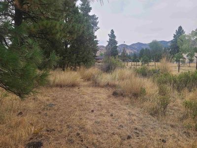 976 Sierra Brooks Dr, Loyalton, CA, 96118