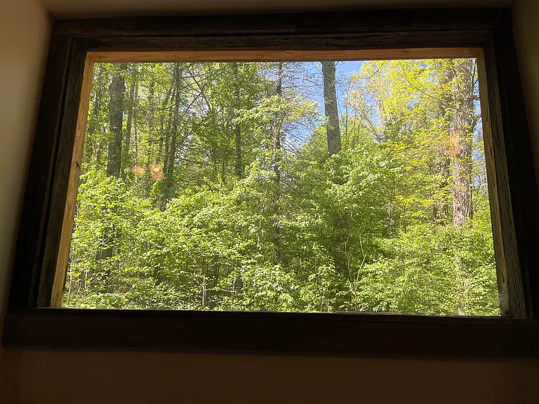 Timberlake Dr — Photo 4