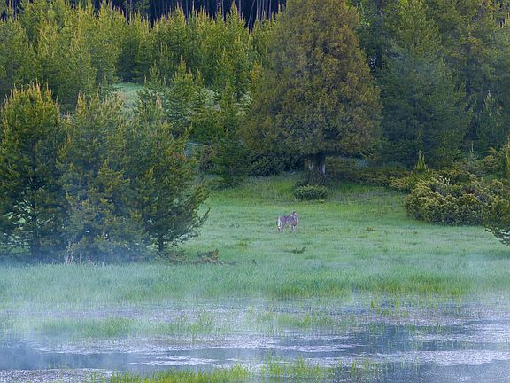 89th image of this home