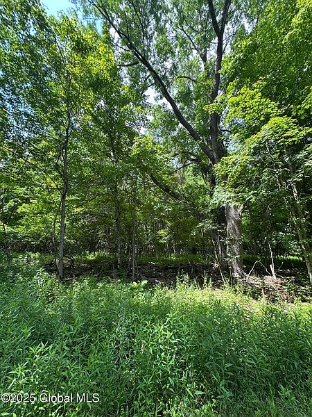 5th image of L11 C Buel Road