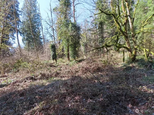 0 Kalama River Road, Kalama, WA 98625