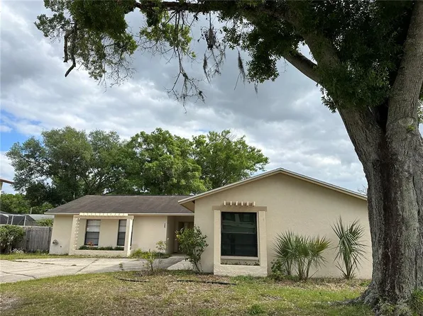 4412 Larkfield Ln, Tampa, FL 33624