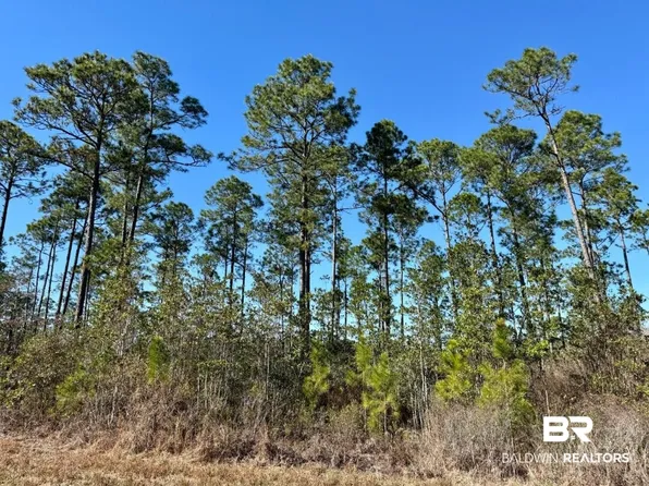 Robert White Rd, Bay Minette, AL 36507