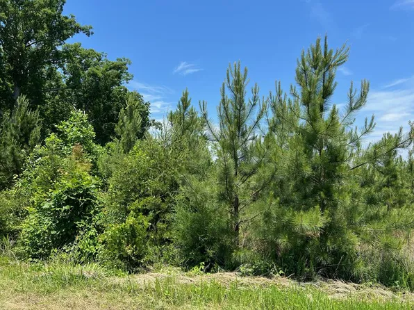 0 Quarles School Trl, Nathalie, VA 24577