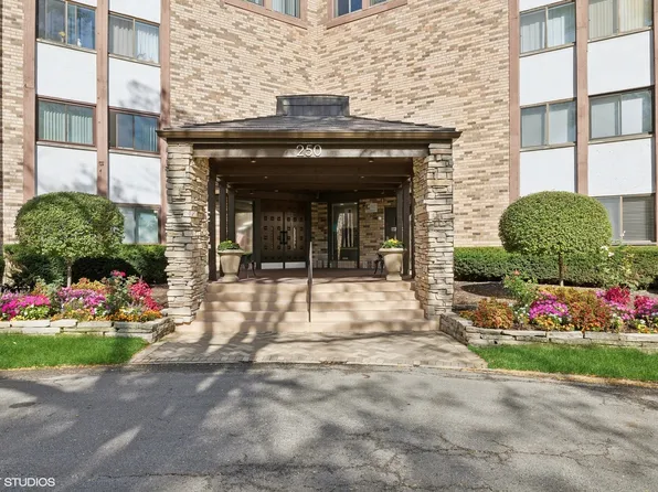 250 W Parliament Pl APT 308, Mount Prospect, IL 60056