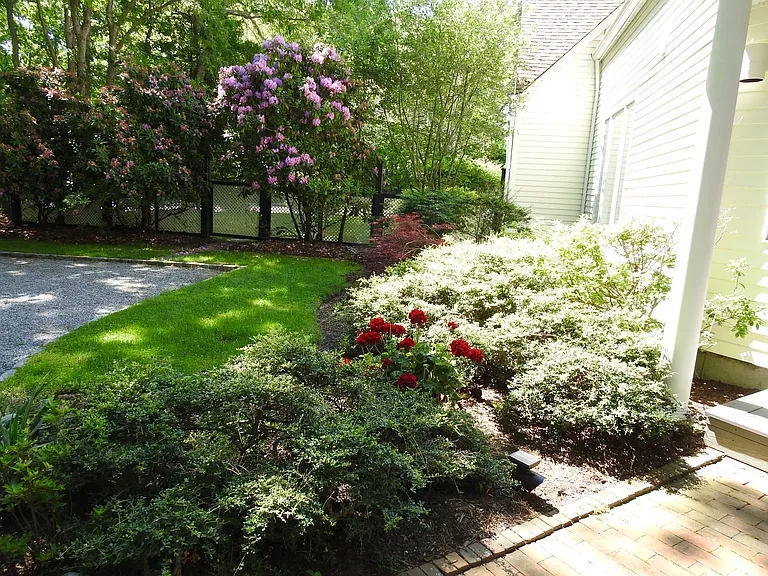 Elizabeth Ln — Photo 2