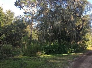 12721 Rhodine Rd, Riverview, FL 33579