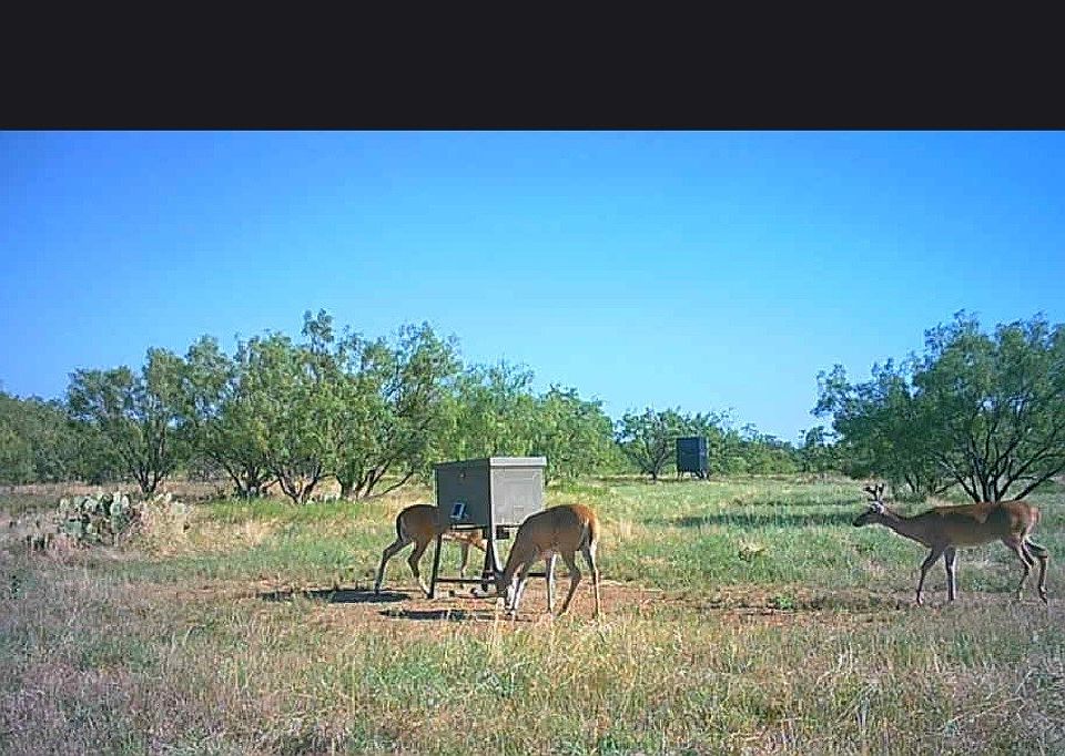 1st image of 5860 County Road 423