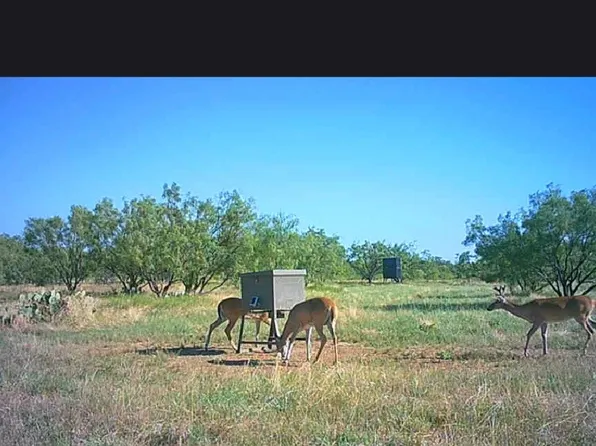 5860 County Road 423, Cisco, TX 76437