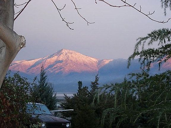 from back yard view