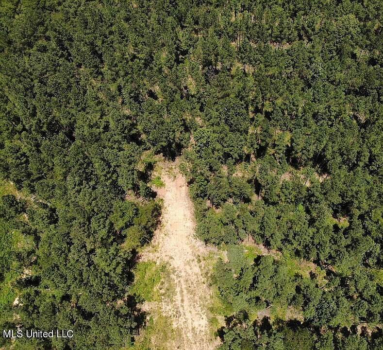 72 Pelahatchie Rd, Pelahatchie, MS 39145 MLS 4055493 Zillow